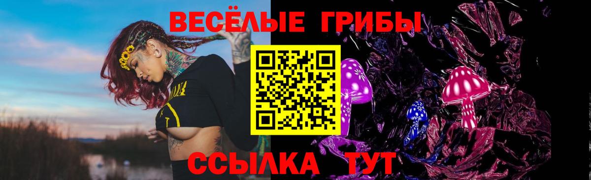 Торжок  Псилоцибиновые грибы GOLDEN TEACHER  где купить наркотик  Вход с VPN 